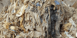 SWW's 'Bin It, Don't Block It' campaign