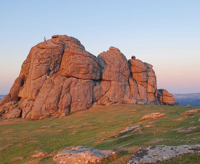 Dartmoor Park Seeks new visionary leader