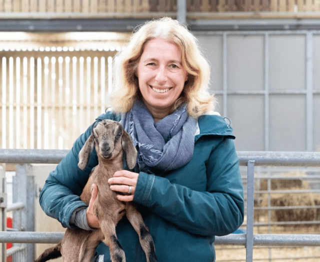 Public vote crowns Redlap as Britain’s Best New Cheese 2025