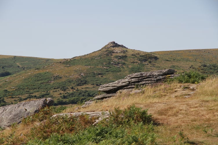 Sharp Tor, Photo Dartmoor National Park Authority