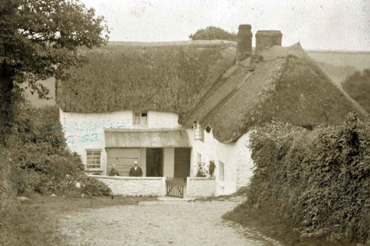 Home Park thatched house 1890