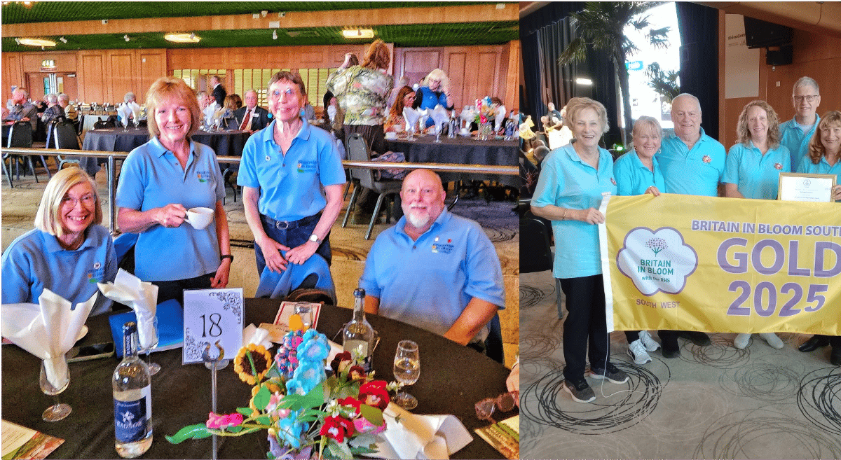 Second year winning Gold for Woolwell | southhams-today.co.uk