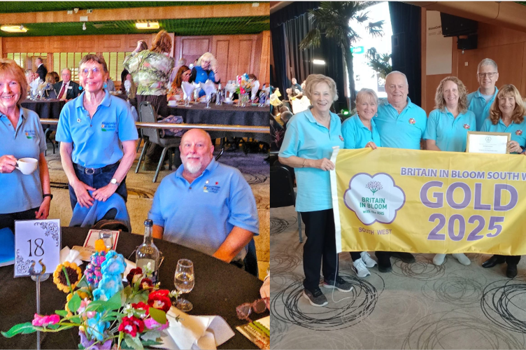 Kingsbridge in Bloom and Woolwell in Bloom
