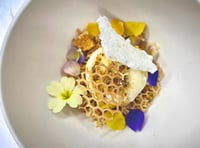 Totnes restaurant cooking up success for young chef