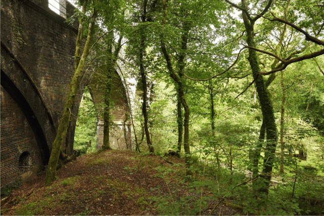 National Trust seek extension for Miners’ Cottage in Plymbridge Woods