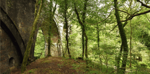 National Trust seek extension for Miners’ Cottage in Plymbridge Woods