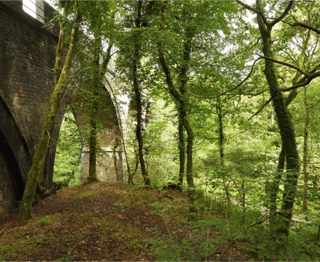 National Trust seek extension for Miners’ Cottage in Plymbridge Woods