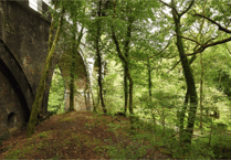 National Trust seeks small extension for Miners’ Cottage in Plymbridge Woods