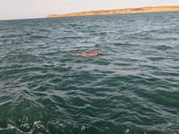 Sharon feels “lucky” after 15-hour channel swim