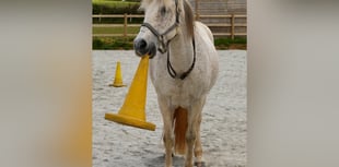 Sarah swims for Sirona