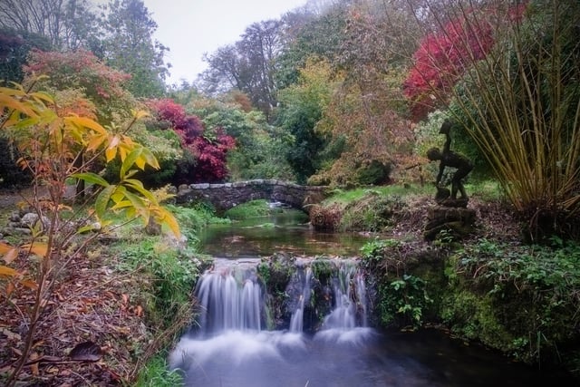 Lukesland Gardens reopens with art exhibition