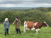 Voaden slams Govt for “tone deaf” refusal to reverse family farm tax
