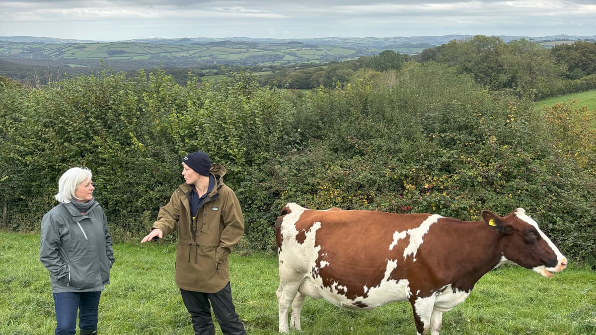 Voaden slams Government for “tone deaf” refusal to reverse family farm ...