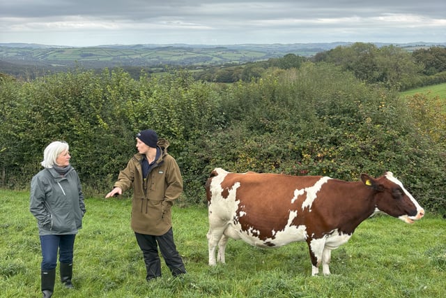 Voaden slams Govt for “tone deaf” refusal to reverse family farm tax