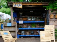 A visit to Landworks in Dartington