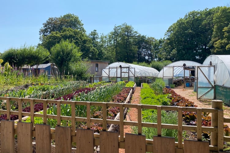 Growing at Landworks