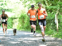 Run the Dart Challenge to support playground fundraiser