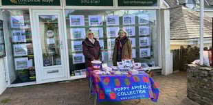 Luscombe Maye staff support Royal British Legion's Poppy Appeal