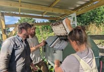 Join the Totnes community composting workshop