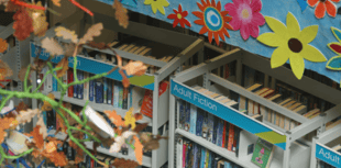 A decade of stories: Devon’s library service celebrates 10 years