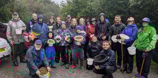 Moor Trees Volunteers Gather 343,500 Seeds