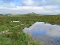 South West Water launches £2m Nature Recovery Fund 