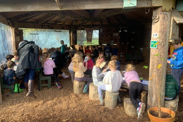 Stoke Fleming and Blackawton children become citizen scientists 