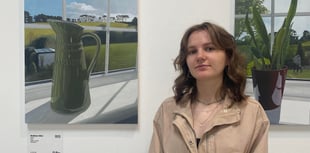 Madison's unique art shines at Brownston Gallery