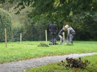 South Hams District Council sows seeds for urban wildlife meadows