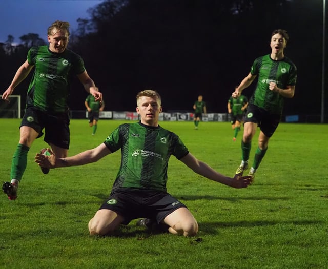 Another brace from Burrell inspires the Ivies