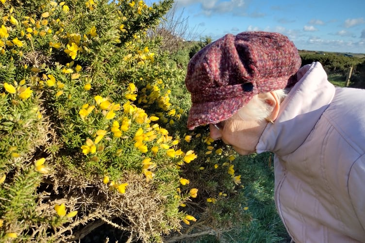 Enjoying the scent of gorse - Fiona van Es 