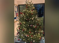 Selworthy Vets' touching Remembrance Christmas tree
