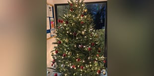 Selworthy Vets' touching Remembrance Christmas tree