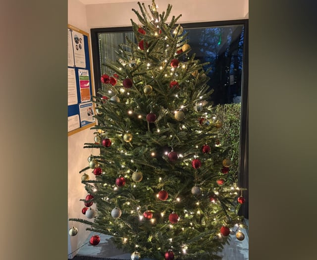Selworthy Vets' touching Remembrance Christmas tree