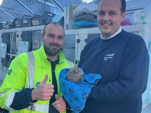 Devon Water Workers Rescue Hedgehog