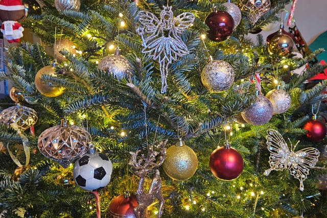 Totnes family disco wins hearts in festive competition