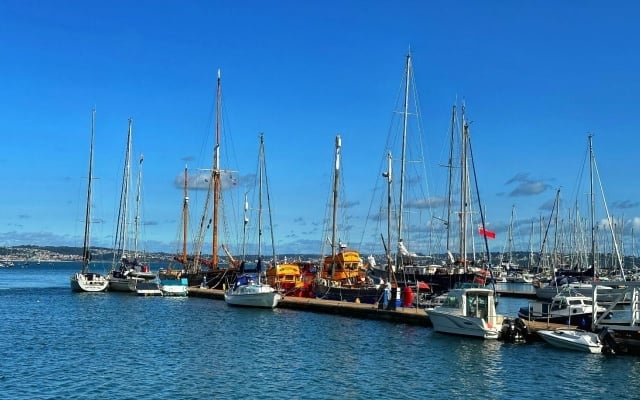 Brixham fish toll boosts Torbay's budget