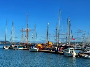 Brixham fish toll boosts Torbay's budget