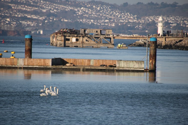 Brixham Harbour - Alice Henderson