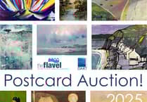 Dart Gallery's auction supports the Flavel Centre