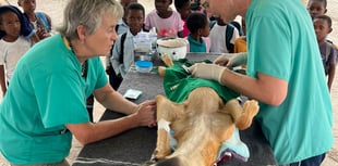 Lilly Cross' Botswana Vet Trip