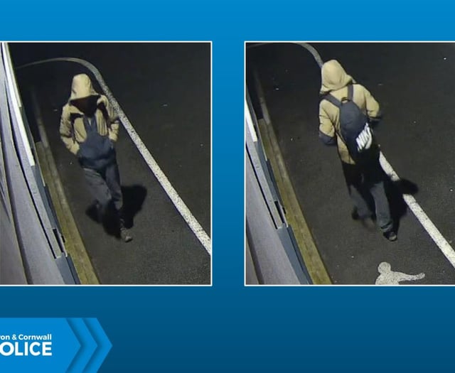 Devon and Cornwall Police seek witness in fatal Ashburton collision