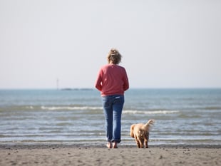 Dog licensing could return, RSPCA asks for views