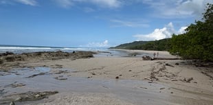 Nature Diary by Mike Hitch | costa rica's vibrant birdlife at curu