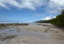 discover costa rica's birdlife at curu