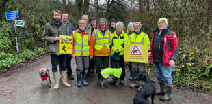 Volunteers help toads cross roads