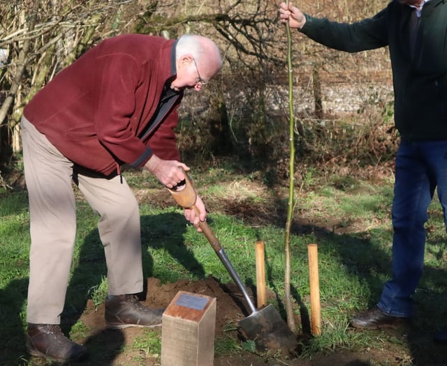 Tree warden celebrated with ceremonial tree planting
