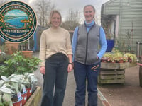 Start Bay businesses unite to attract visitors following storm damage