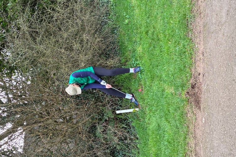 Katie Panton in the hedge