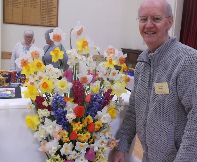 West Alvington Show: Steer wins big